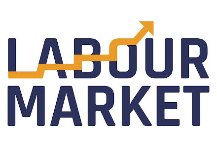 Labour Market Intelligence Guide for Jobs & Business